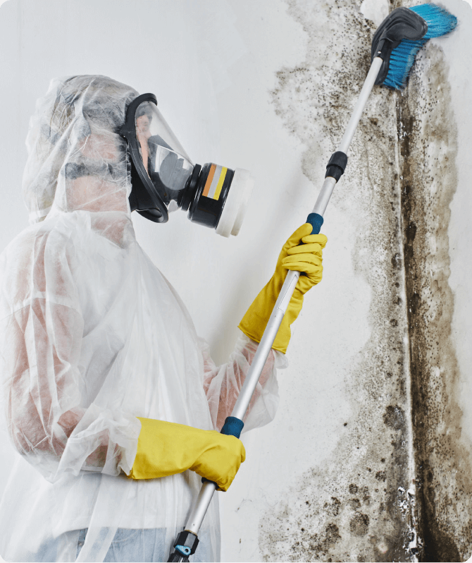 mold remediation in houston