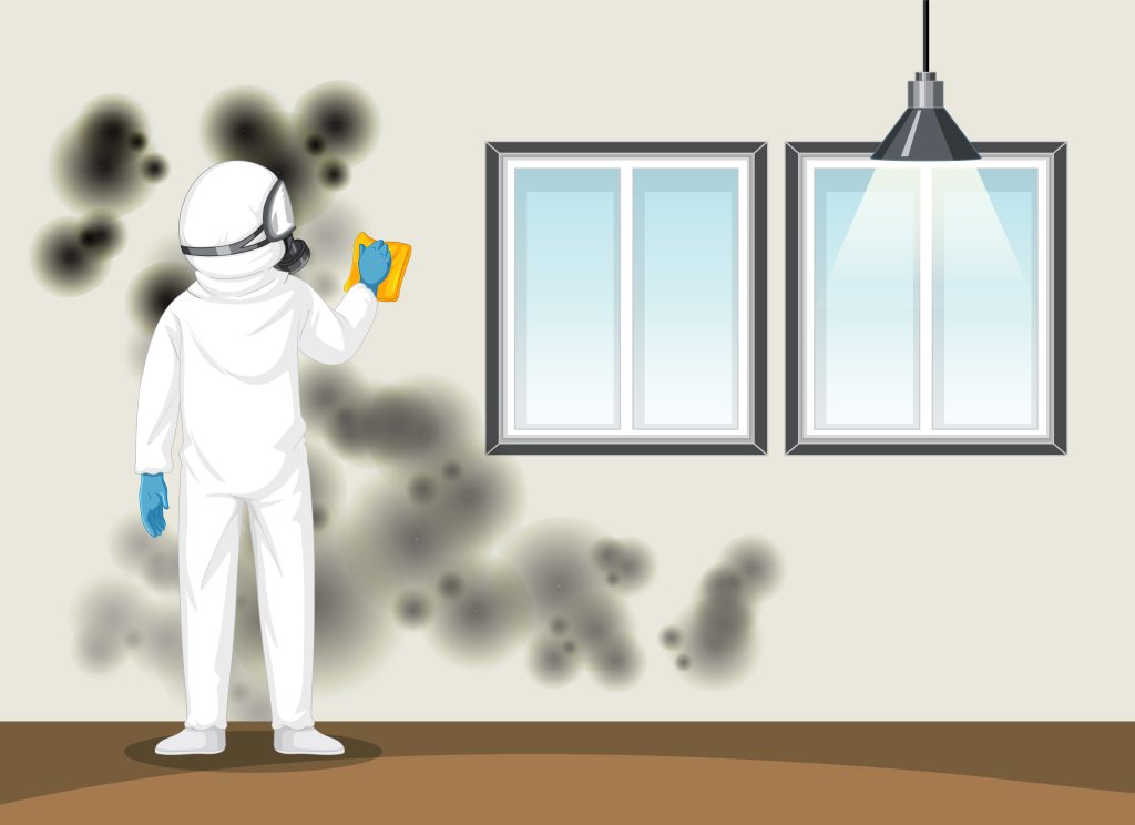mold remediation