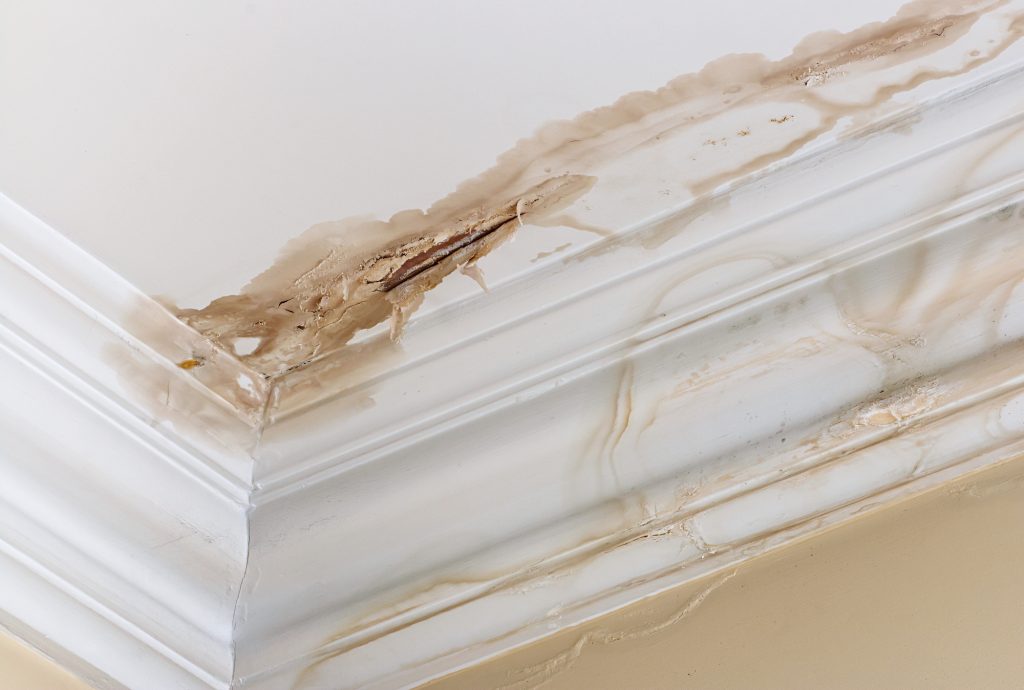hidden water damage