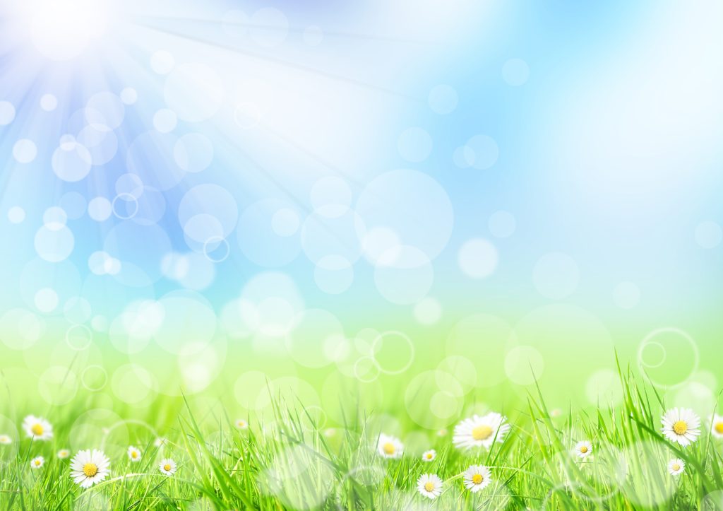 preparing your home for Spring.