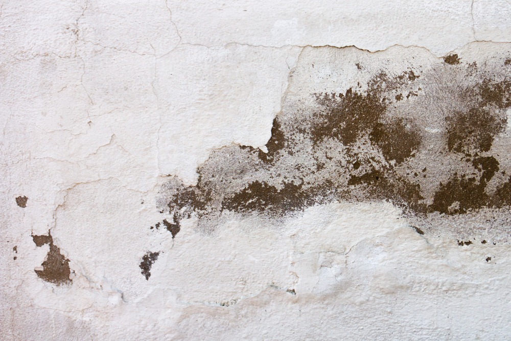Common Causes of Water Damage in Houston Homes